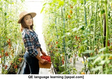 تصویر فلش کارت ripe