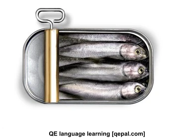 تصویر فلش کارت sardine