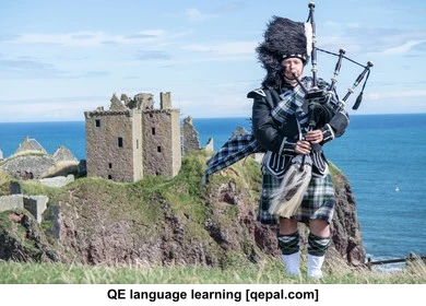 تصویر فلش کارت scot
