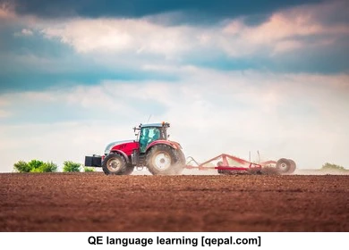 تصویر فلش کارت seedbed