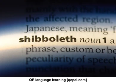 تصویر فلش کارت shibboleth