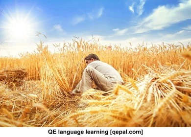 تصویر فلش کارت sickle