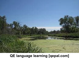 تصویر فلش کارت slough