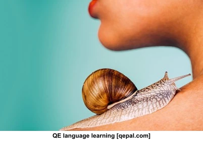 تصویر فلش کارت snail