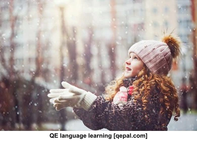 تصویر فلش کارت snowflake