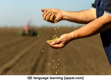 تصویر فلش کارت soybean