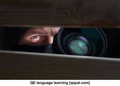تصویر فلش کارت stalker