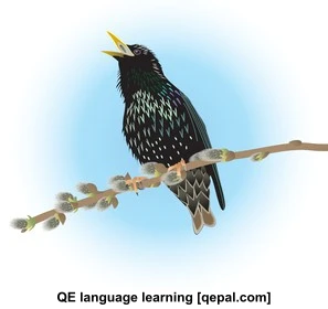 تصویر فلش کارت starling