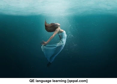 تصویر فلش کارت submerge