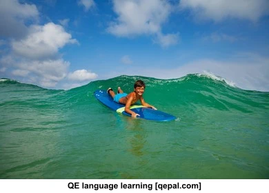تصویر فلش کارت surf