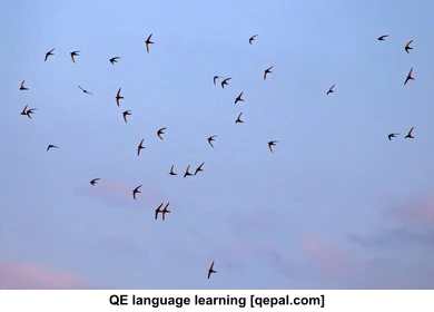تصویر فلش کارت swift