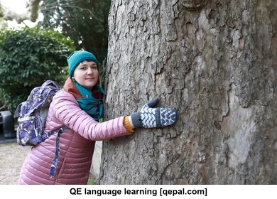 تصویر فلش کارت sycamore