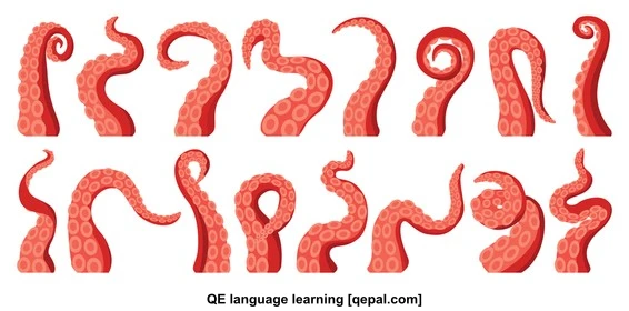 تصویر فلش کارت tentacle