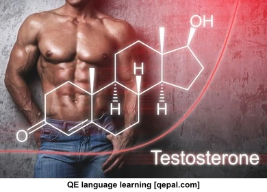 تصویر فلش کارت testosterone