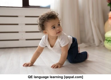 تصویر فلش کارت toddle