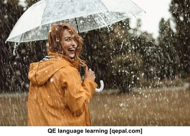 تصویر فلش کارت umbrella
