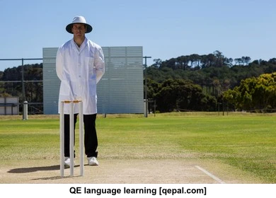 تصویر فلش کارت umpire