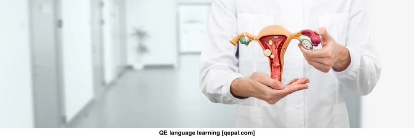 تصویر فلش کارت uterine