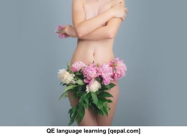 تصویر فلش کارت vagina