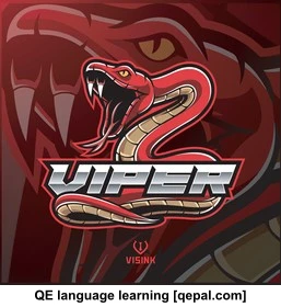 تصویر فلش کارت viper