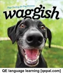 تصویر فلش کارت waggish