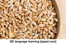 تصویر فلش کارت whole-wheat