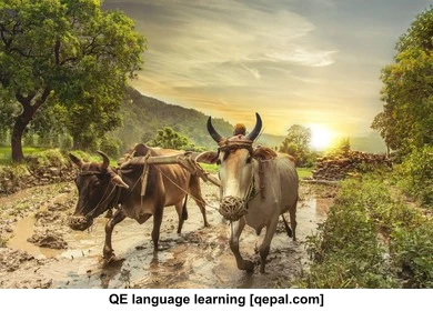 تصویر فلش کارت yoke
