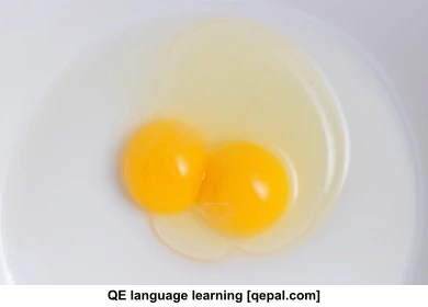تصویر فلش کارت yolk